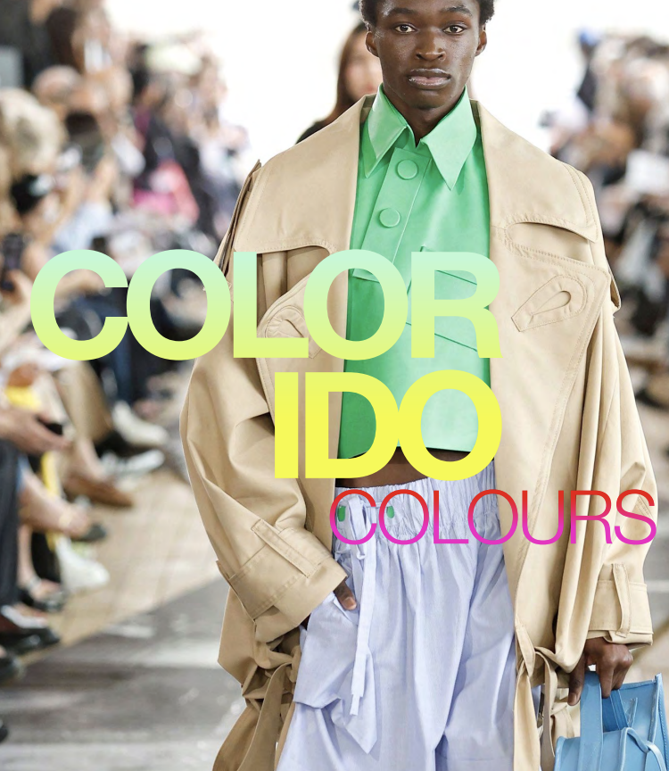 Image of a biome-like texture